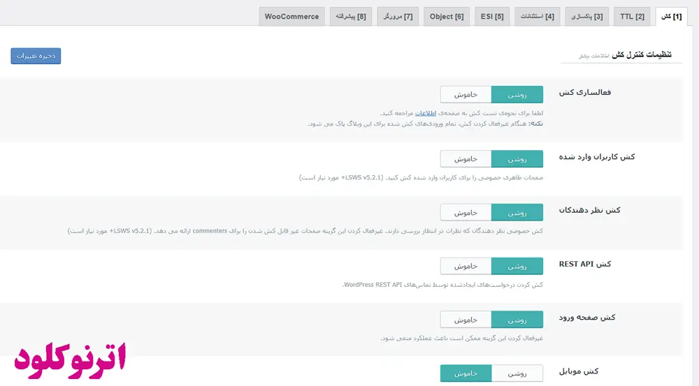 آموزش کشینگ در پلاگین لایت اسپید کش وردپرس