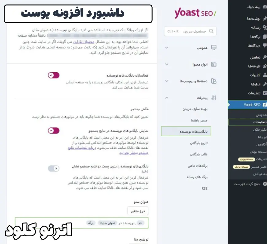 افزونه یوست چیست؟