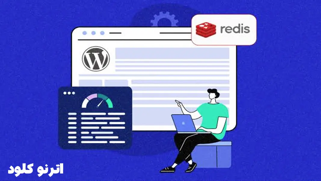 تفاوت ردیس و ممکش چیست؟ 6 تفاوت Redis یا Memcached برای وردپرس؟
